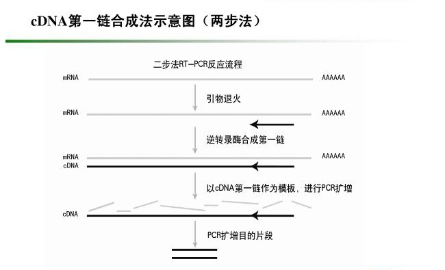 兩步法