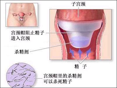 功能簡介