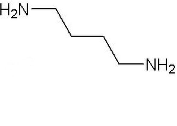 1,4-丁二胺
