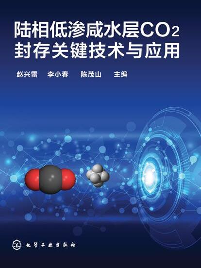 陸相低滲鹹水層CO2封存關鍵技術與套用