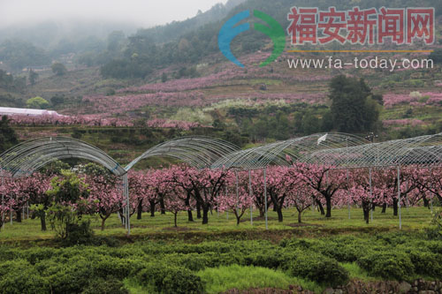 虎頭村(福建寧德市福安市穆雲鄉下轄村)