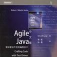 Agile Java 中文版