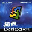 精通Microsoft Excel 2002中文版