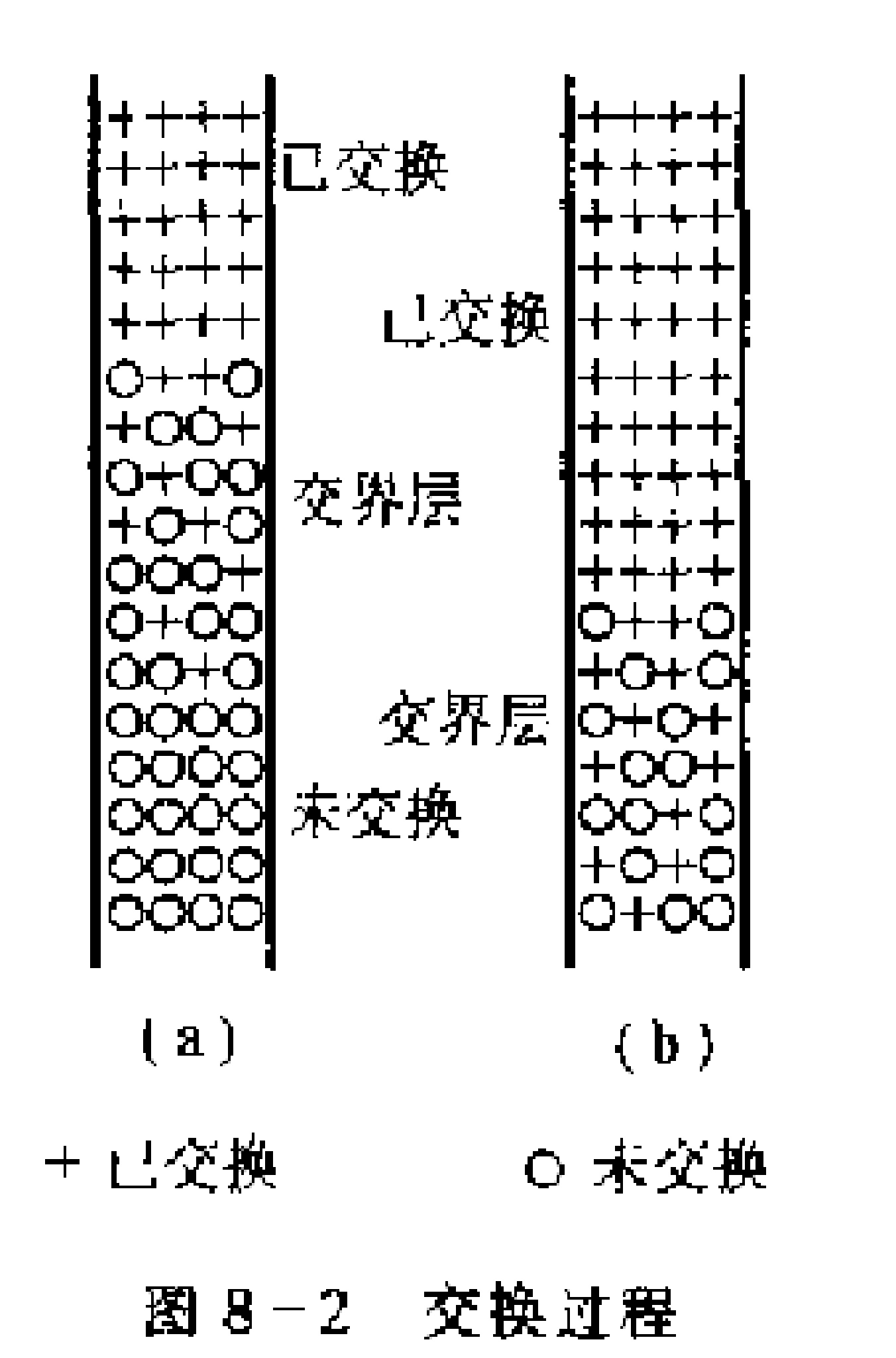 離子交換分離