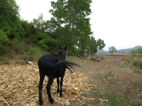 高家窯村(北京市延慶縣香營鄉下轄村)