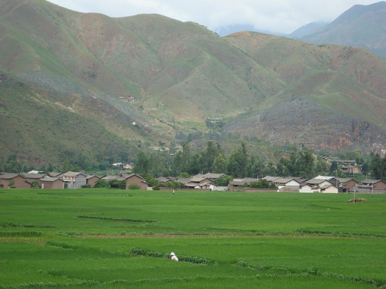 田樂村(雲南省永勝縣期納鎮下轄村)