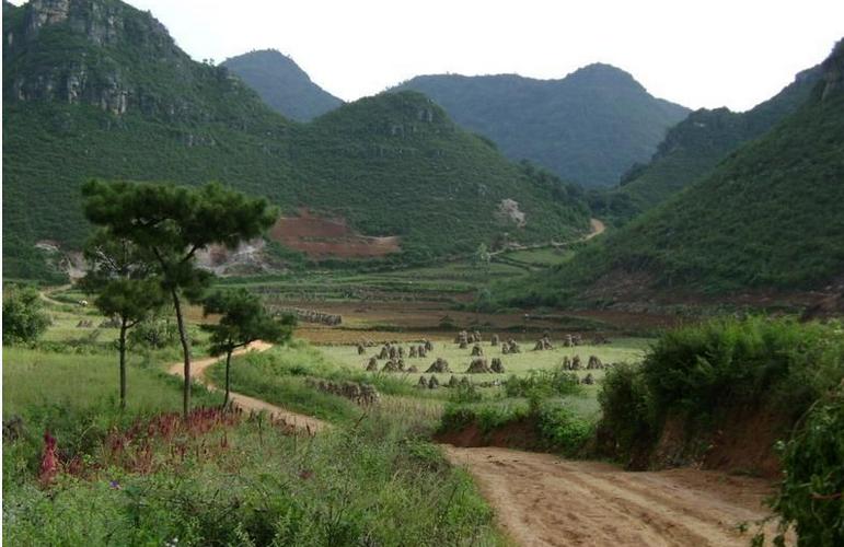 白沙坡村(雲南文山州丘北縣天星鄉下轄村)