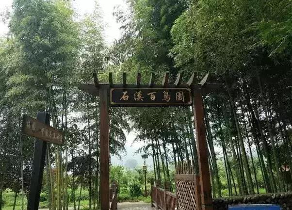 萍鄉市萍鄉武功山景區