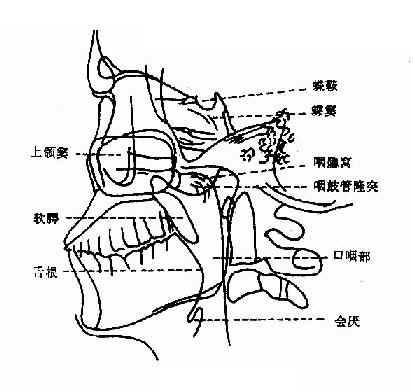 耳鼻咽喉科疾病的影像診斷