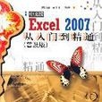 Excel 2007中文版從入門到精通