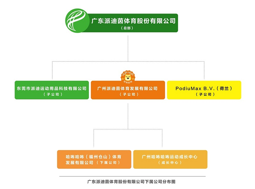 派迪茵公司架構