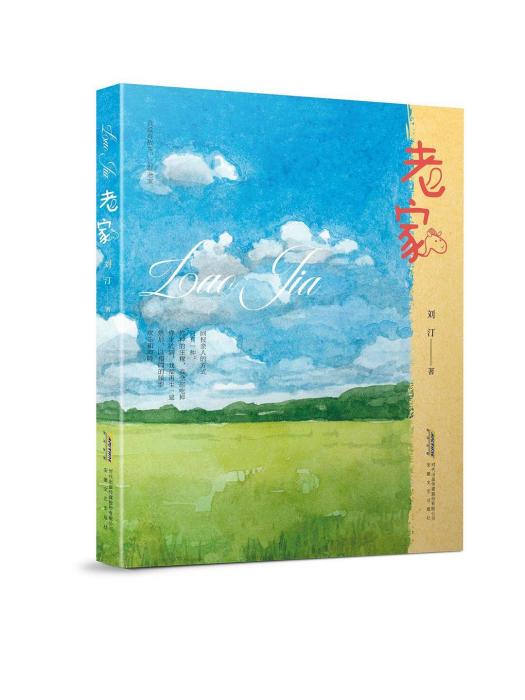 老家(2023年安徽文藝出版社出版的圖書)