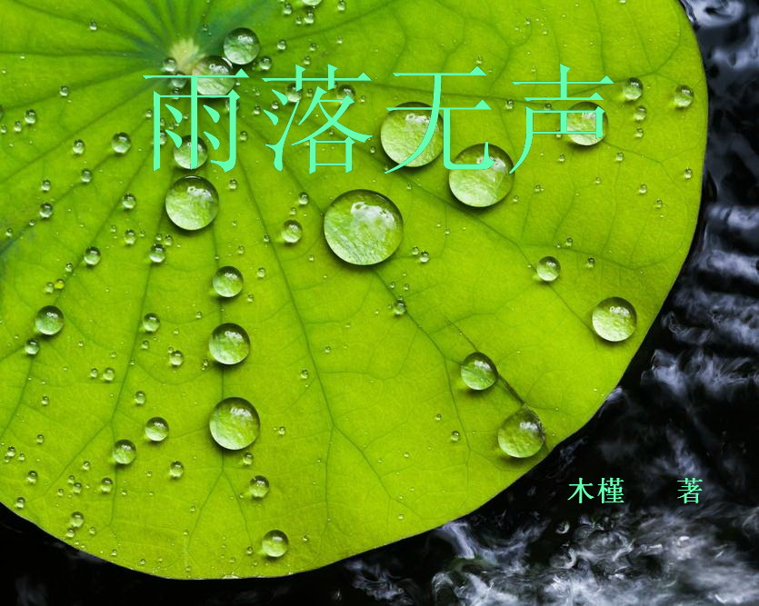 雨落無聲(小說)