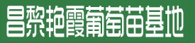 昌黎艷霞葡萄苗基地logo