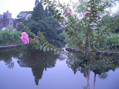 茅橋埭村河道整治的成果