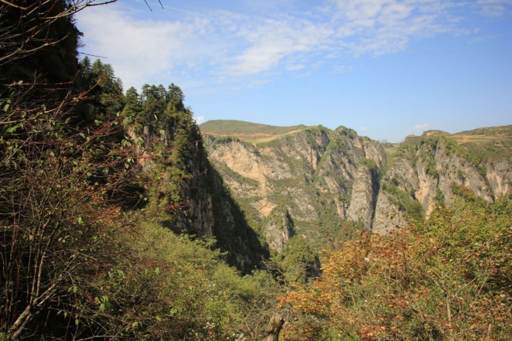 漳縣貴清山國家森林公園