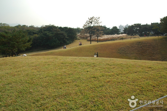 土城村(貴州省盤州市柏果鎮土城村)