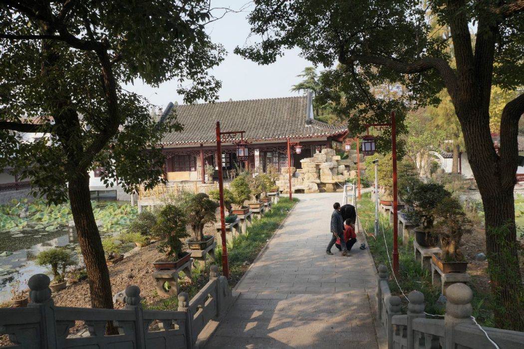 荊州市荊州盆景園(江陵盆景園)