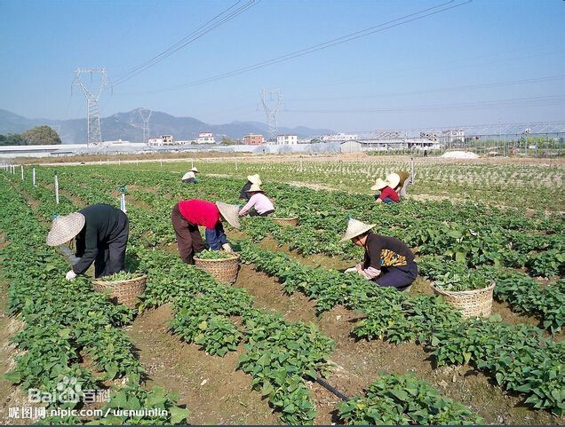 三塘村(浙江省台州市椒江區三甲街道下轄村)