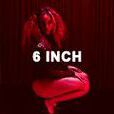 6 INCH