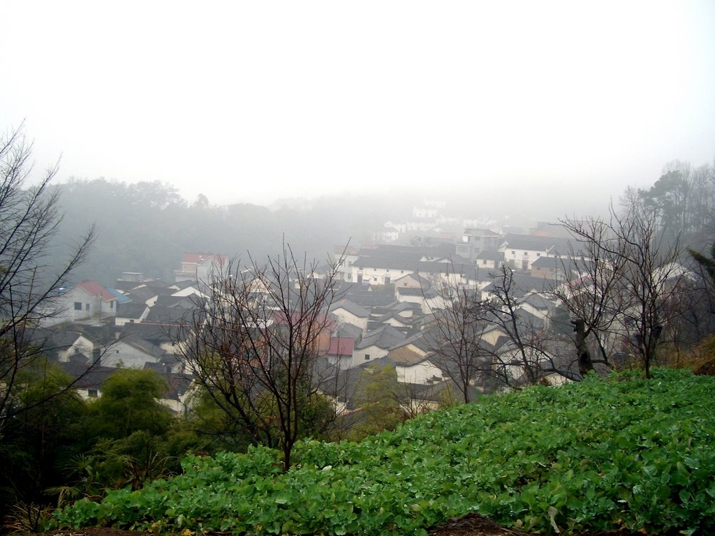 蘆山村(貴州省惠水縣蘆山鎮)