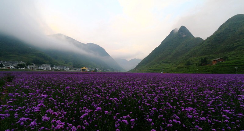 詩鄉花海景區