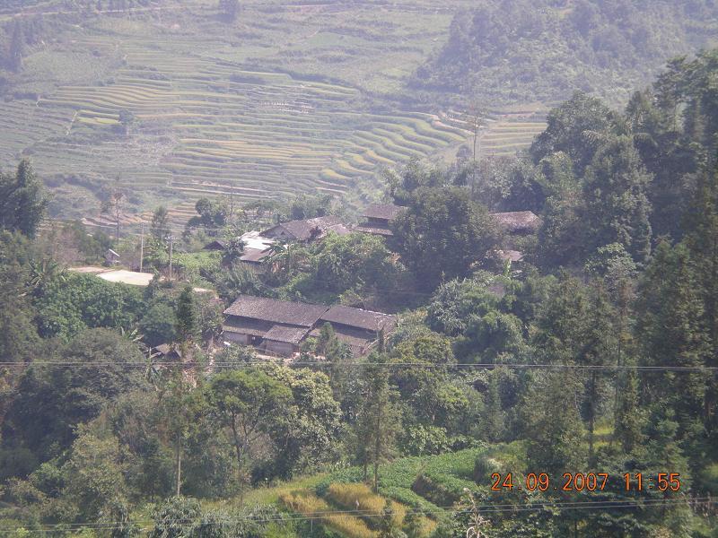 棕樹村(雲南省紅河州河口瑤族自治縣橋頭鄉棕樹村)