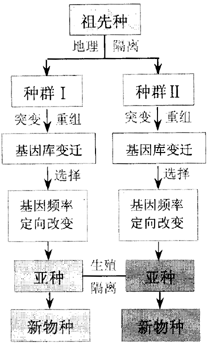 生殖隔離