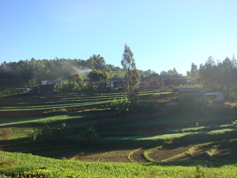 楊家山二組自然村