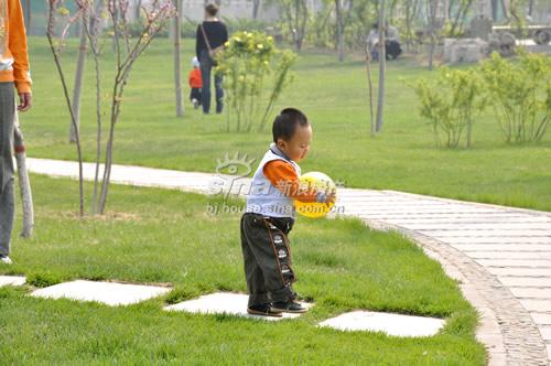 石家莊市楓華園