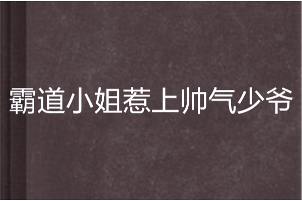 霸道小姐惹上帥氣少爺