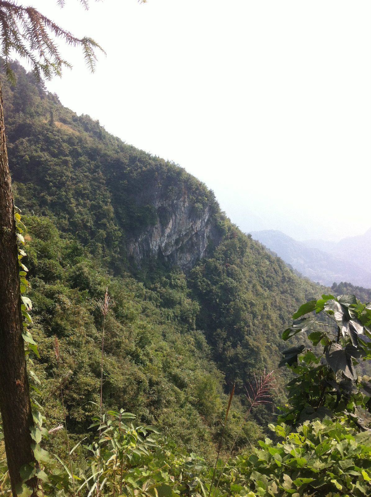 平頭界村