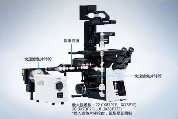 Olympus活細胞成像系統