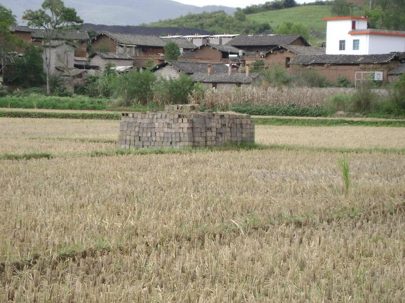 余大田村