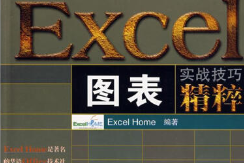 Excel圖表實戰技巧精粹(2008年人民郵電出版社出版的圖書)