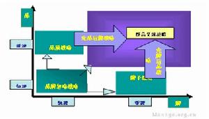 新品牌策略