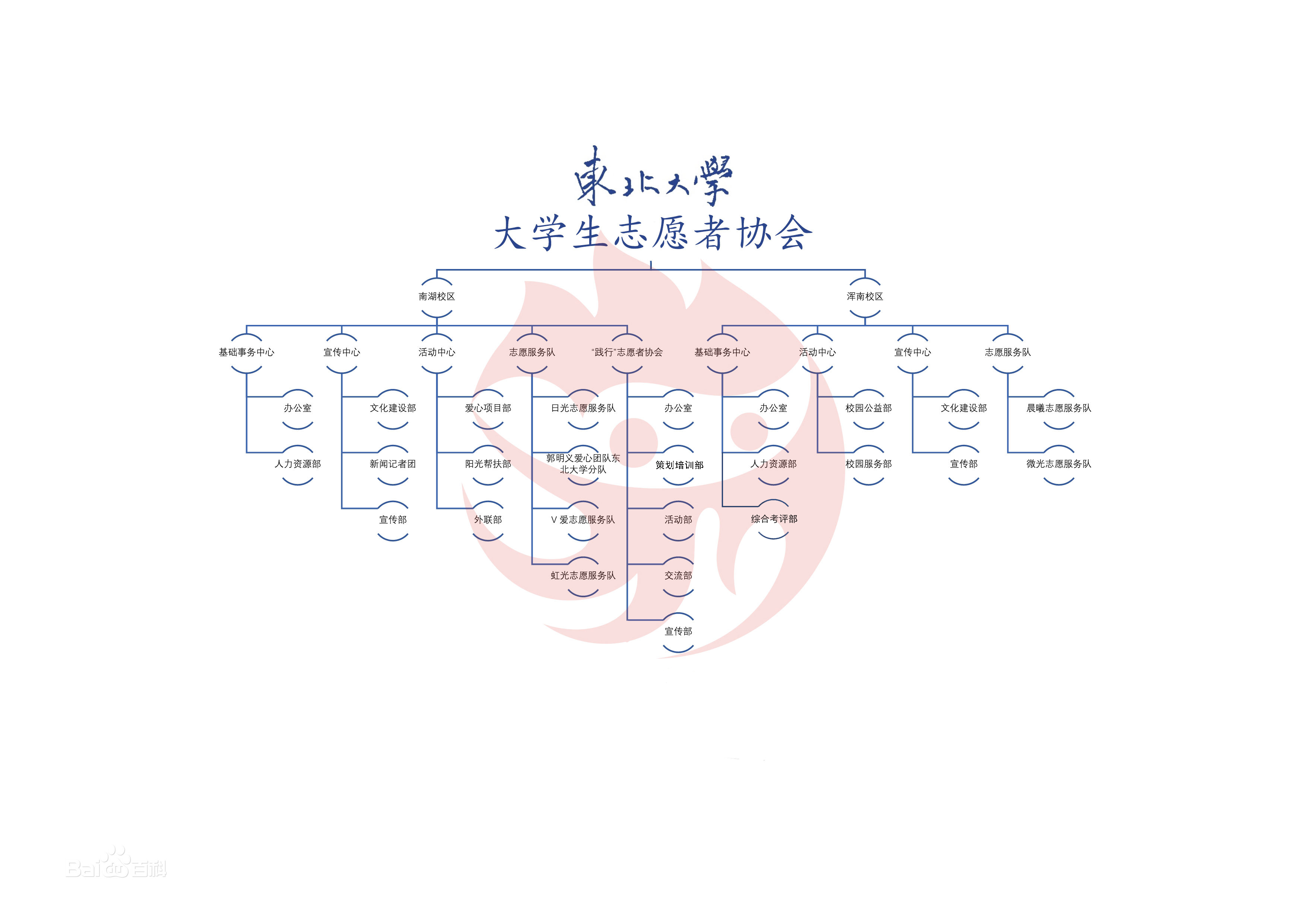 東北大學大學生志願者協會