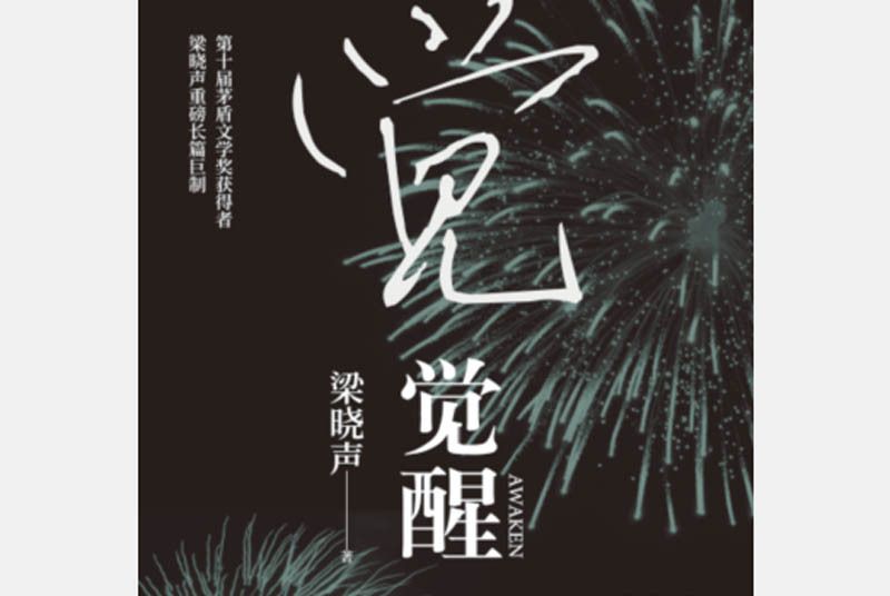 覺醒(梁曉聲長篇小說)