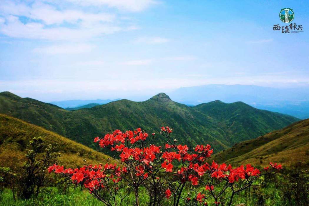 西瑤綠谷旅遊區