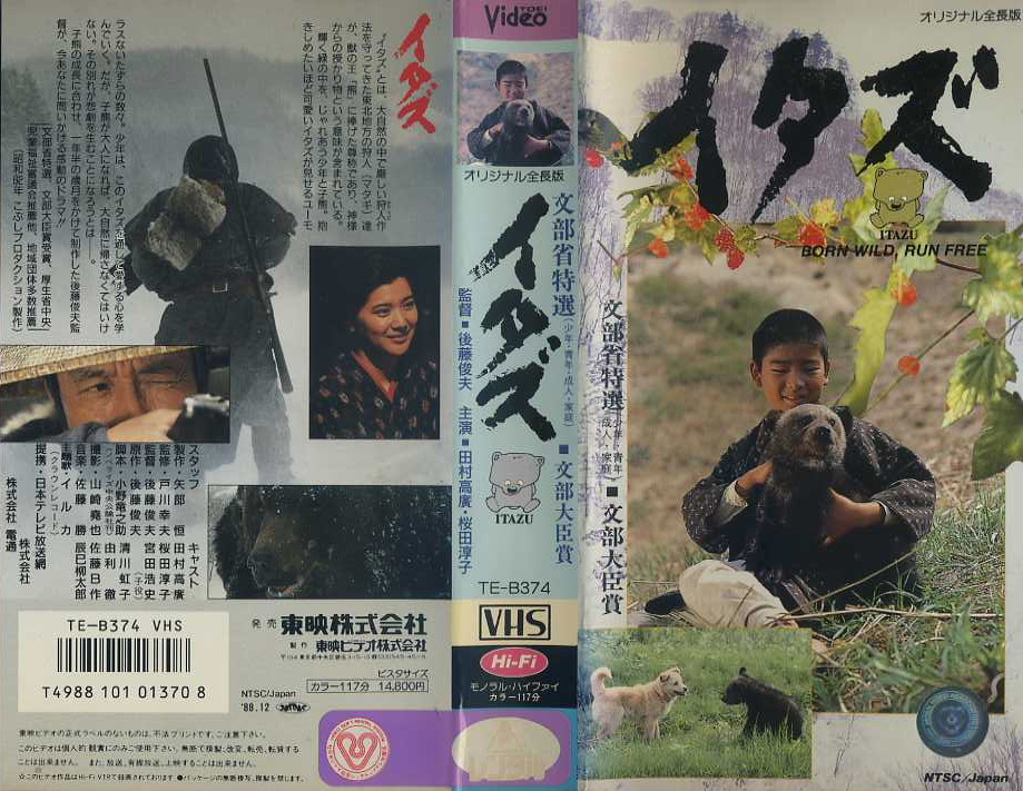 小熊(日本1967年的電影)