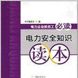 電力企業新員工必讀：電力安全知識讀本