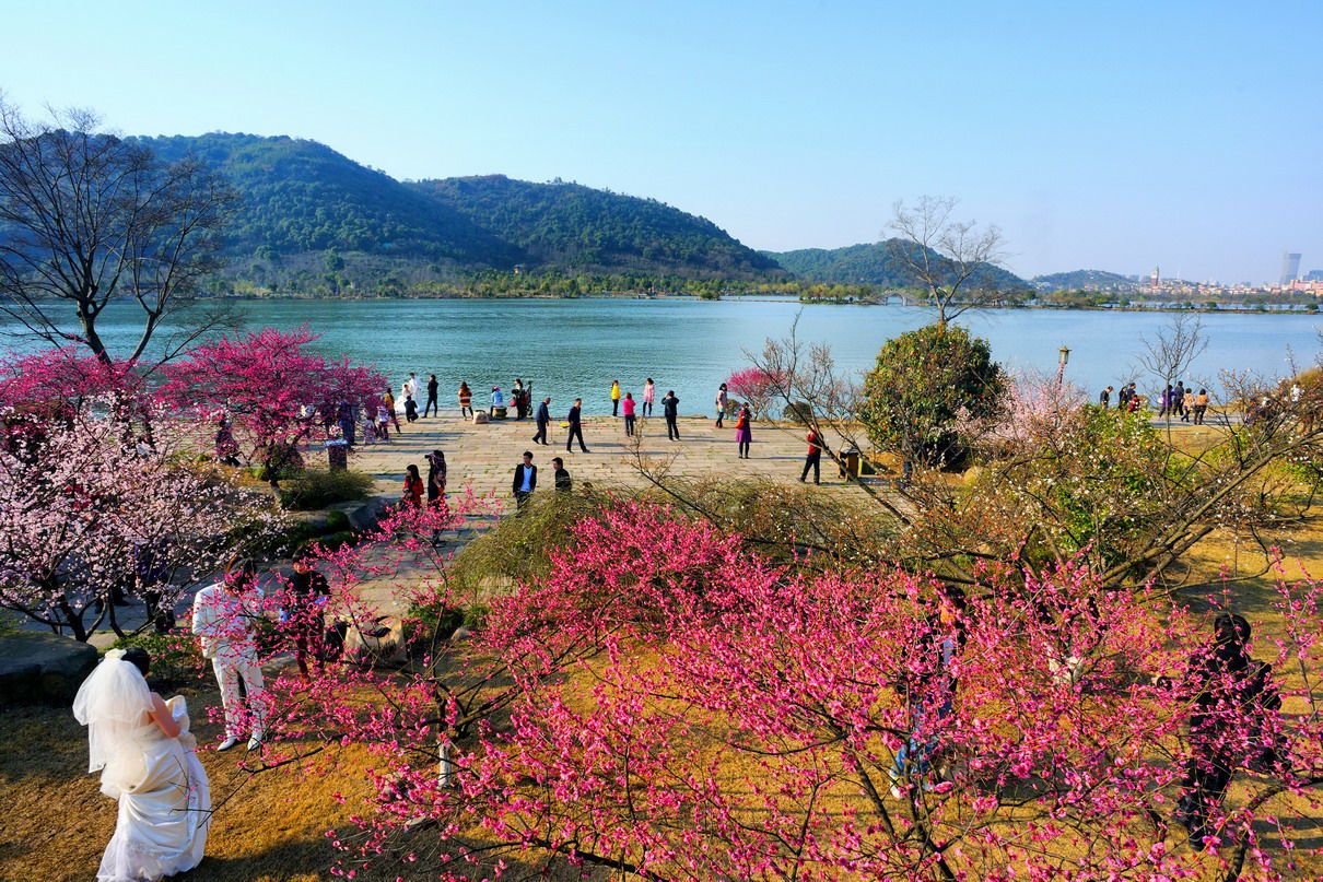 桃花山自然風景區