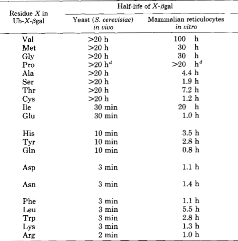 Universality and Structure of the N-end Rul