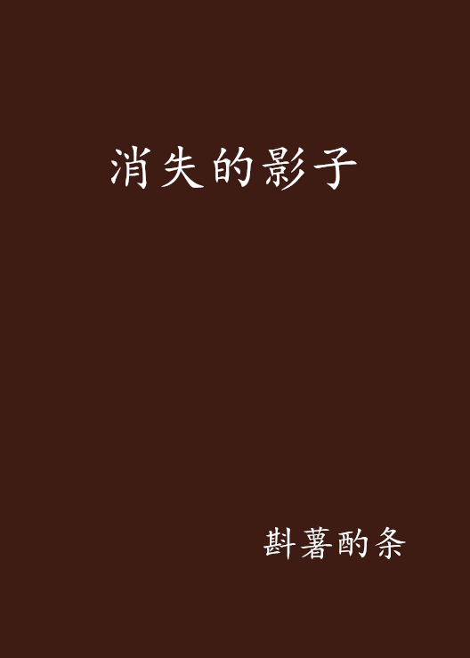 消失的影子(網路小說)