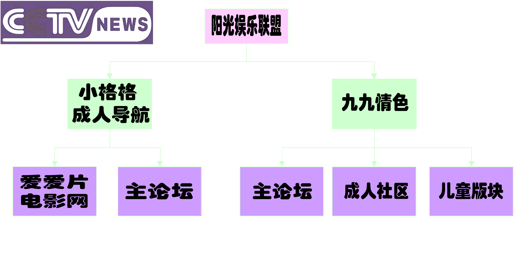 “陽光娛樂聯盟”結構示意圖