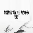 婚姻背後的秘密(十二律創作的網路小說)