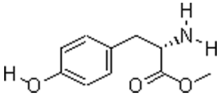 L-酪氨酸甲酯