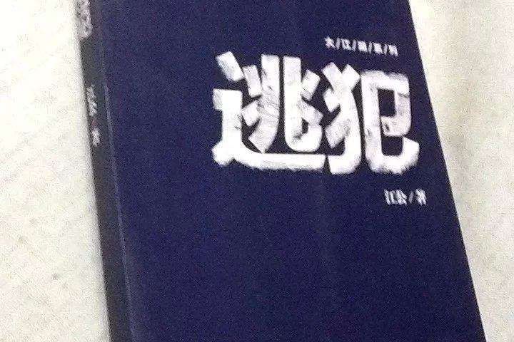 逃犯(2015年新世界出版社出版的圖書)