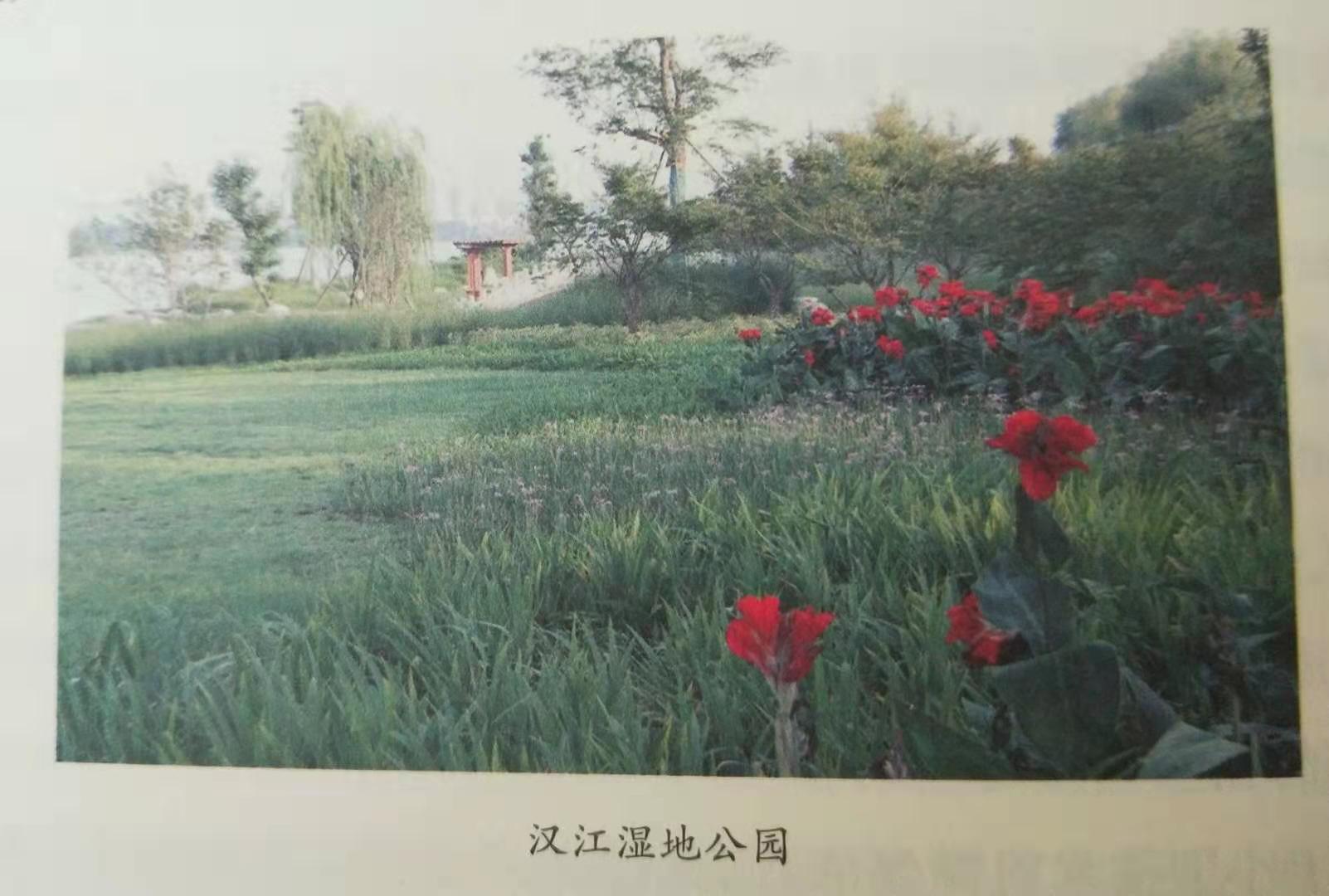 天漢濕地公園