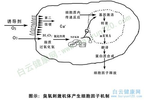 治療機理示意圖